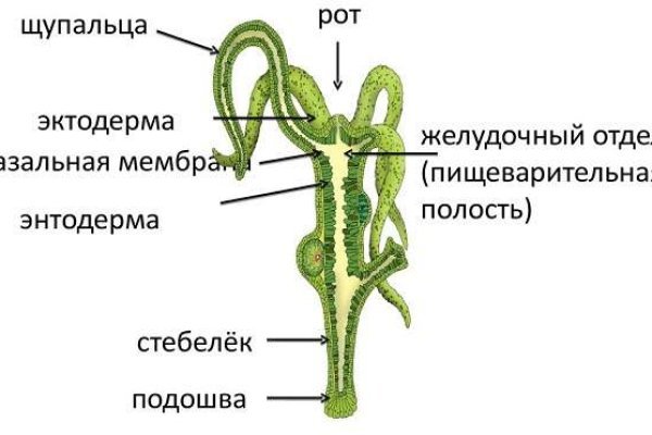 Kraken12 at сайт